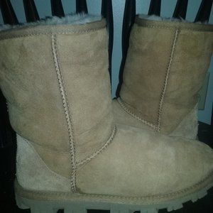 UGG short chestnut classic boots size 7